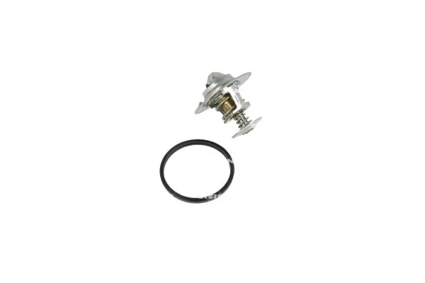 Termostat lichid racire