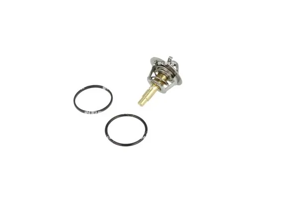 Termostat lichid racire