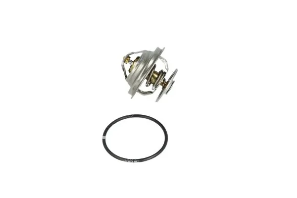Termostat lichid racire