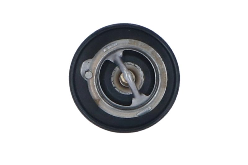 Termostat lichid racire
