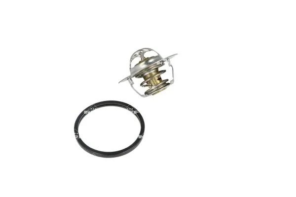 Termostat lichid racire