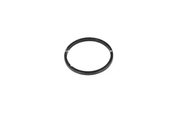 Termostat lichid racire