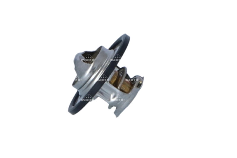 Termostat lichid racire