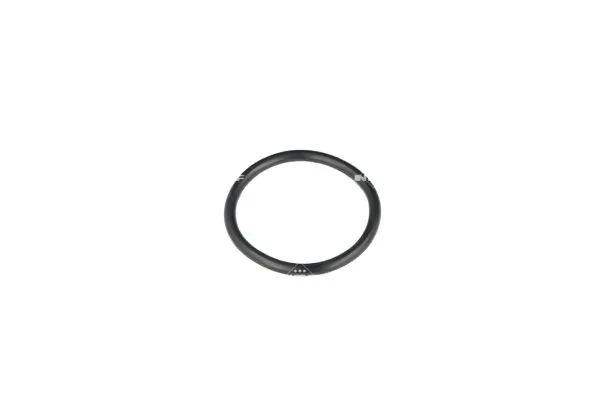 Termostat lichid racire