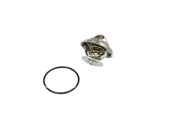 Termostat lichid racire