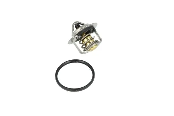 Termostat lichid racire