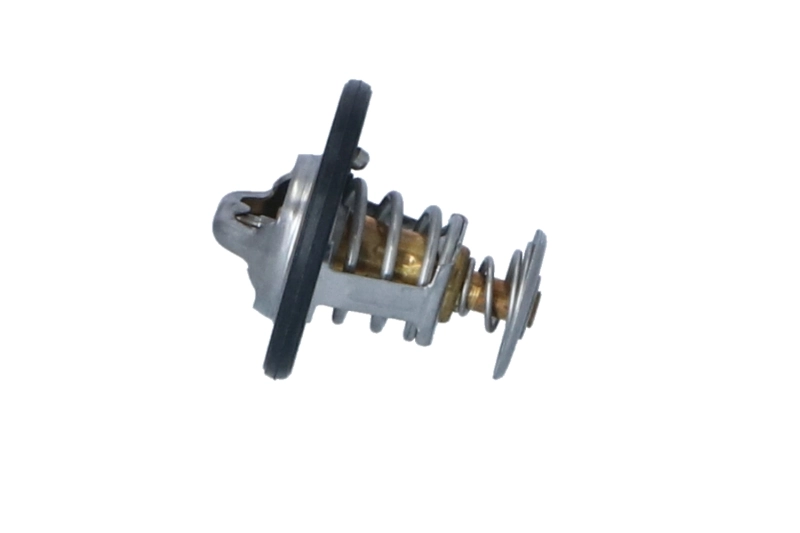 Termostat lichid racire