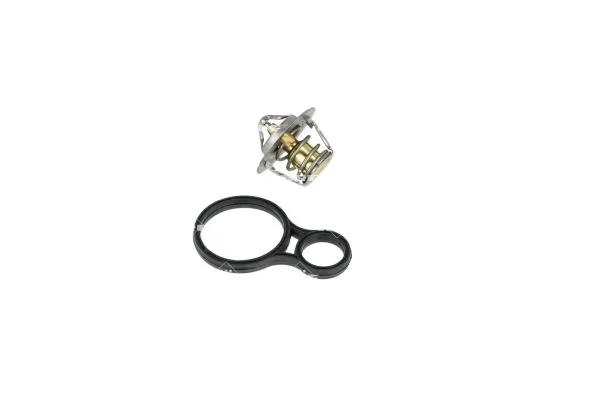 Termostat lichid racire