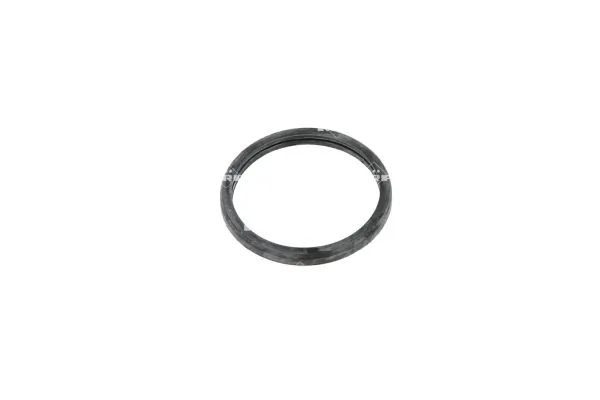 Termostat lichid racire