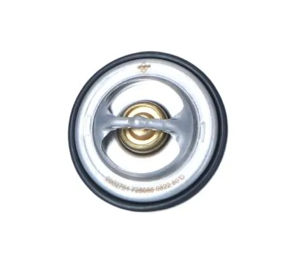 Termostat lichid racire