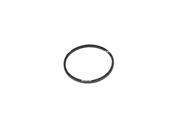 Termostat lichid racire
