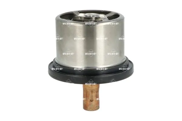 Termostat lichid racire