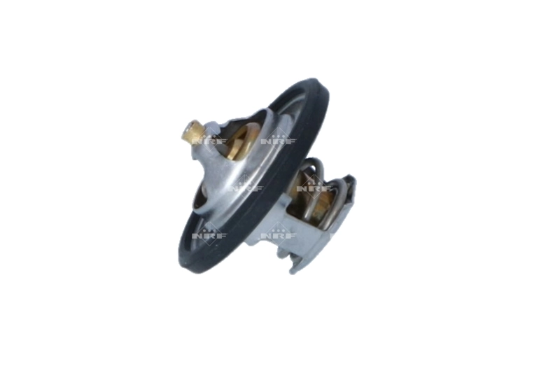 Termostat lichid racire