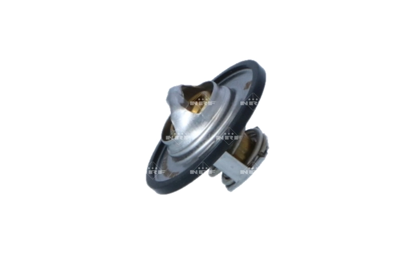 Termostat lichid racire
