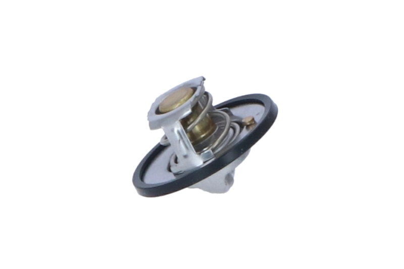 Termostat lichid racire