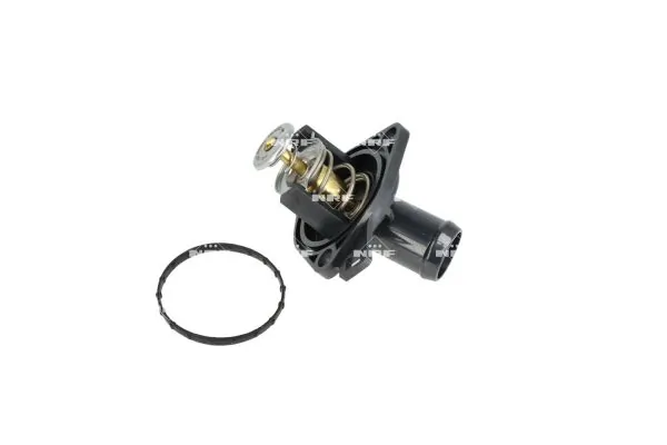 Termostat lichid racire