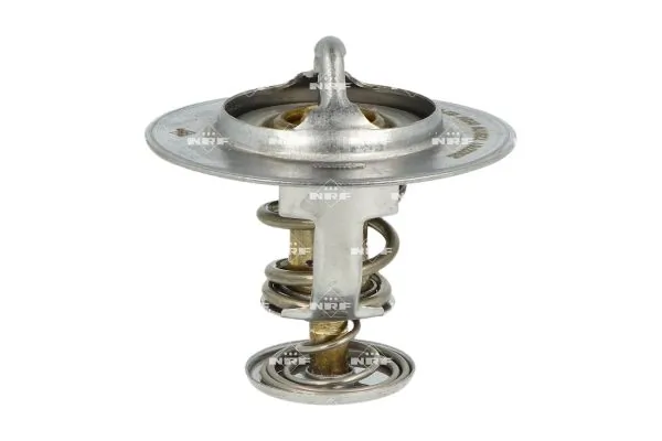 Termostat lichid racire