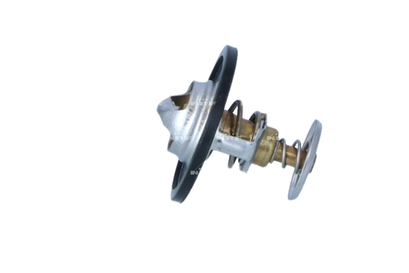 Termostat lichid racire