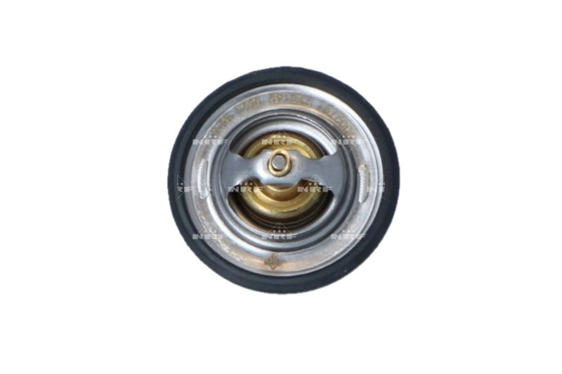 Termostat lichid racire