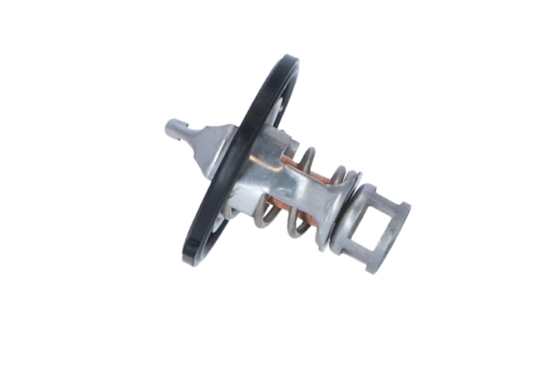 Termostat lichid racire
