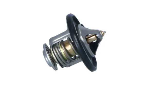 Termostat lichid racire