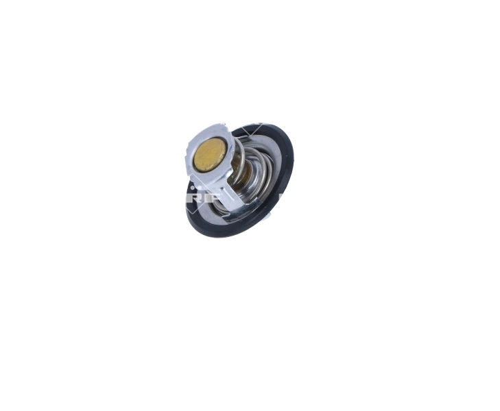 Termostat,lichid racire