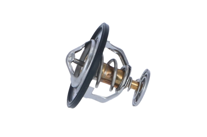 Termostat lichid racire