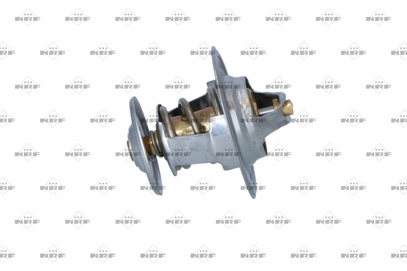 Termostat lichid racire