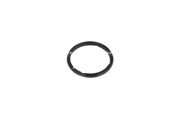 Termostat lichid racire