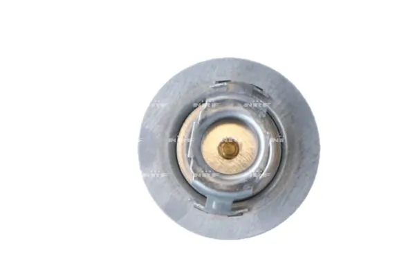 Termostat lichid racire