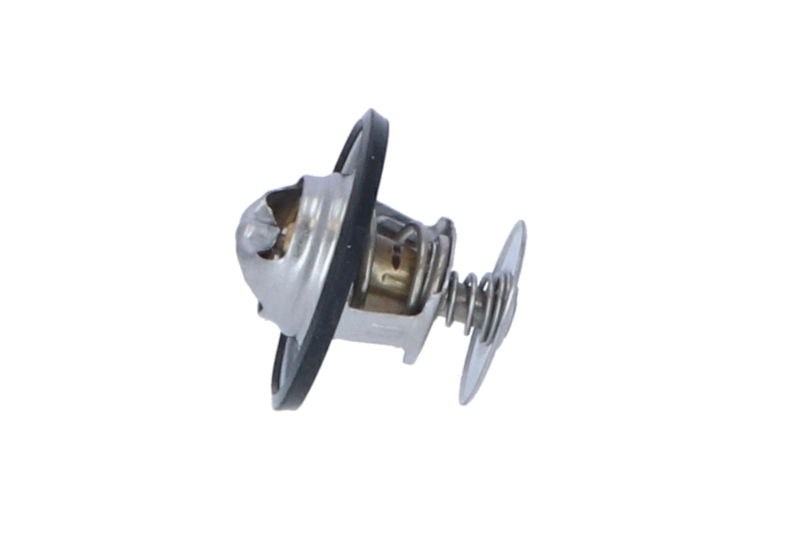 Termostat lichid racire