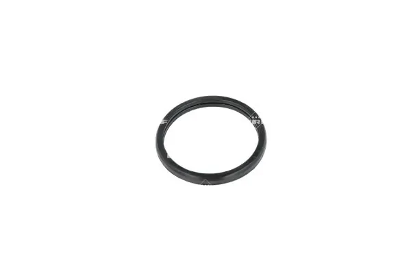 Termostat lichid racire
