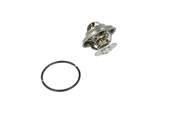 Termostat lichid racire