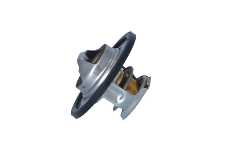 Termostat lichid racire