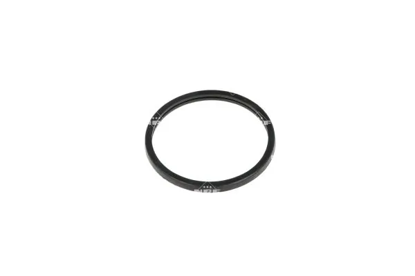 Termostat lichid racire