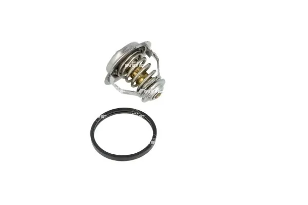 Termostat lichid racire