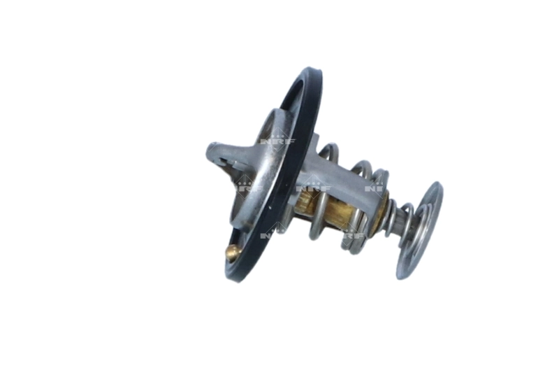 Termostat lichid racire