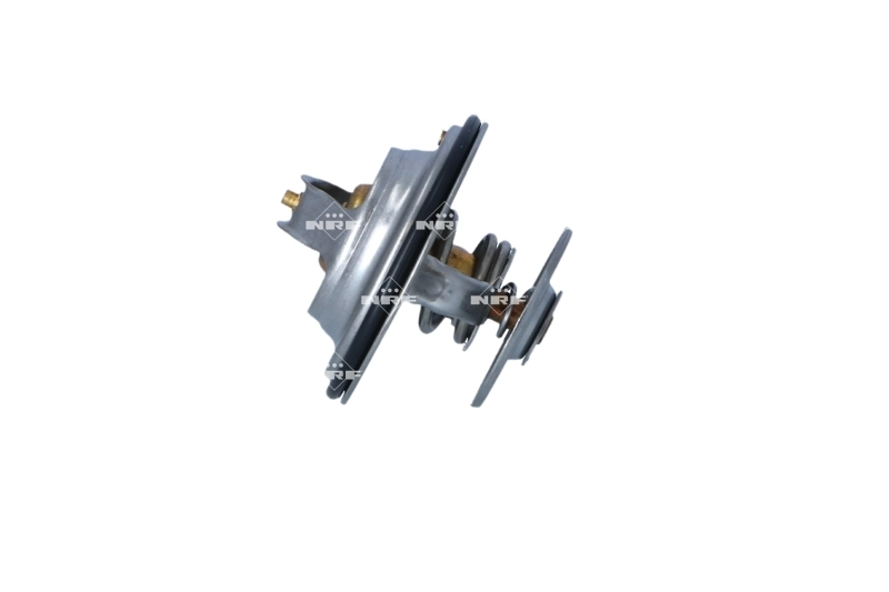 Termostat lichid racire