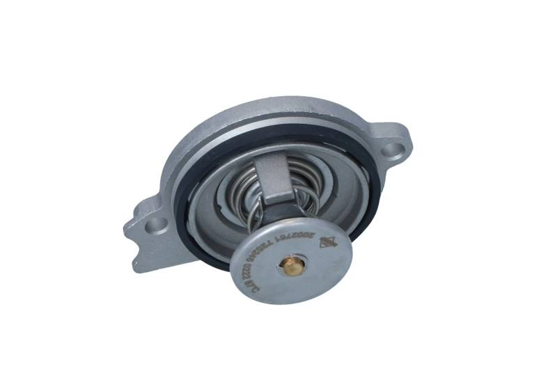 Termostat lichid racire