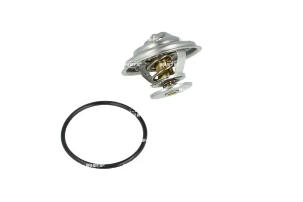 Termostat lichid racire
