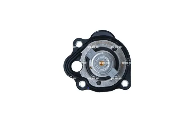 Termostat,lichid racire