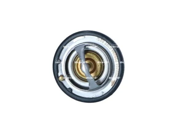 Termostat lichid racire