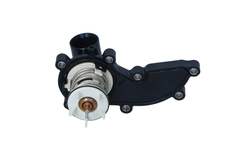 Termostat,lichid racire