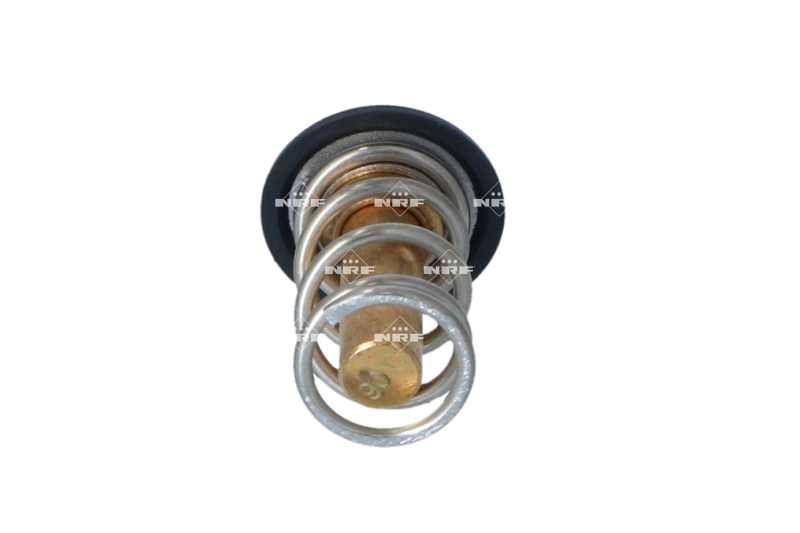 Termostat lichid racire