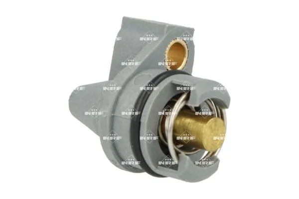 Termostat lichid racire