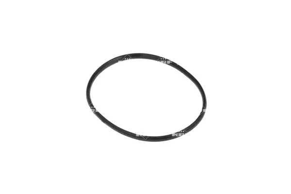 Termostat lichid racire