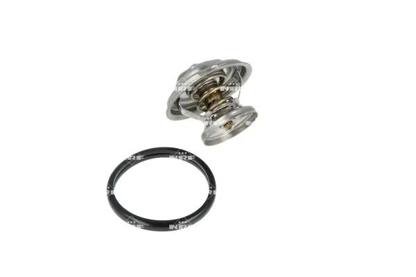 Termostat lichid racire