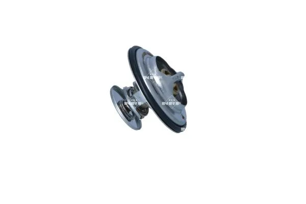 Termostat lichid racire