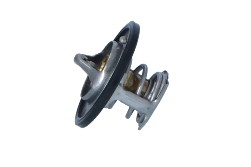 Termostat lichid racire