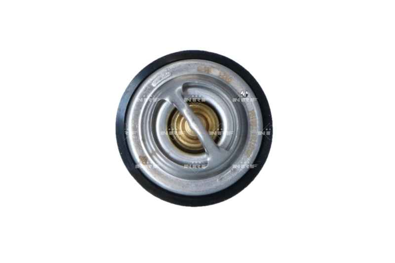 Termostat lichid racire